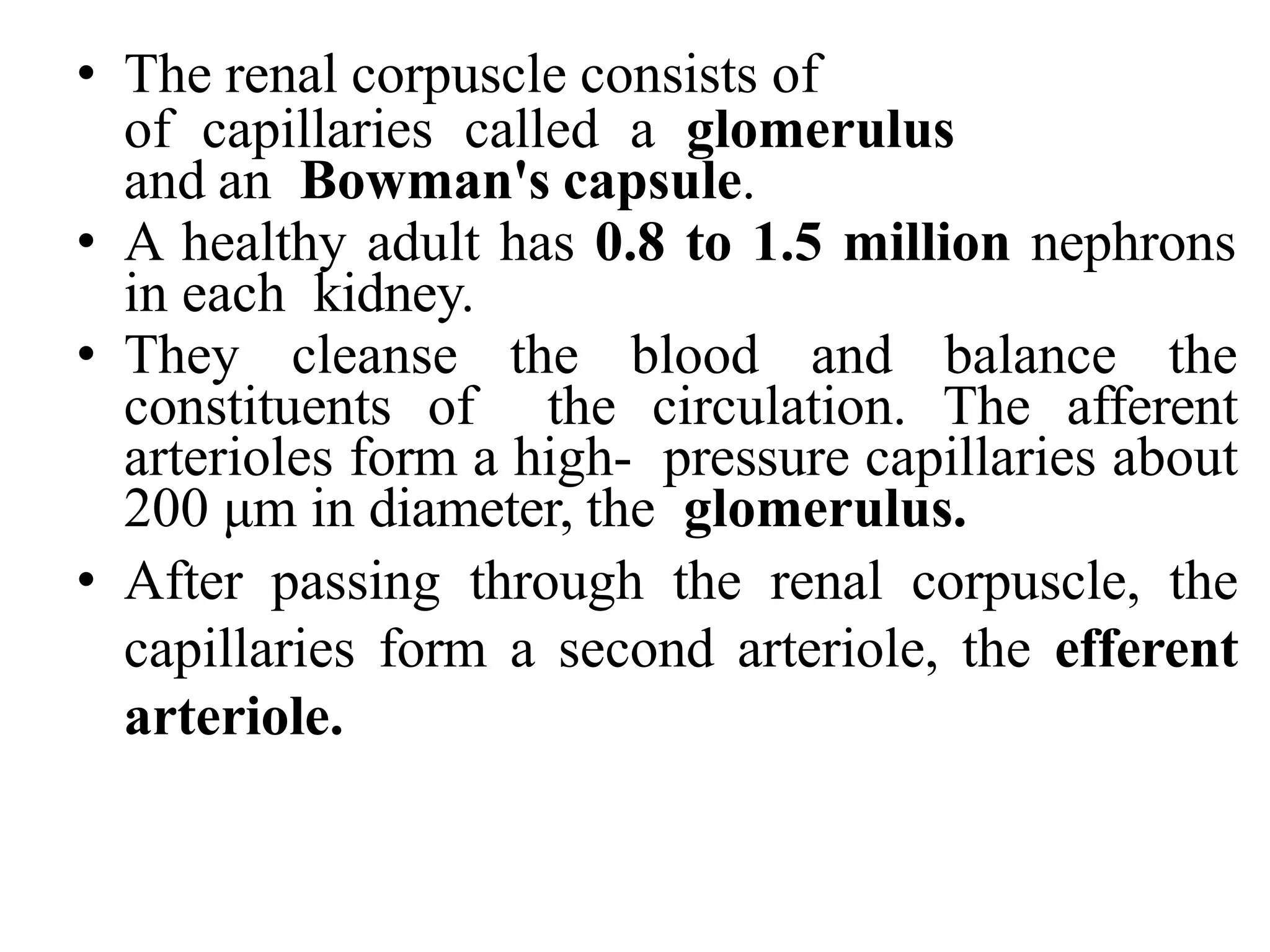 • The renal corpuscle consists of
of capillaries called a glomerulus
and an Bowman's capsule.
• A healthy adult has 0.8 to 1.5 million nephrons
in each kidney.
• They cleanse the blood and balance the
constituents of the circulation. The afferent
arterioles form a high- pressure capillaries about
200 μm in diameter, the glomerulus.
• After passing through the renal corpuscle, the
capillaries form a second arteriole, the efferent
arteriole.
 