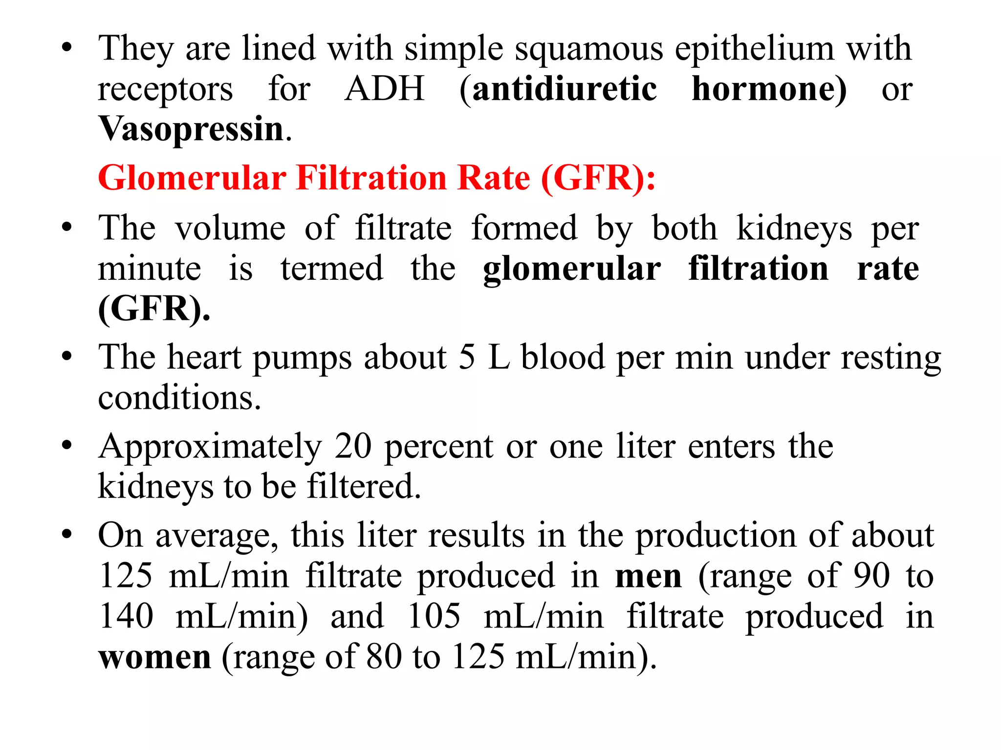 • They are lined with simple squamous epithelium with
receptors for ADH (antidiuretic hormone) or
Vasopressin.
Glomerular Filtration Rate (GFR):
• The volume of filtrate formed by both kidneys per
minute is termed the glomerular filtration rate
(GFR).
• The heart pumps about 5 L blood per min under resting
conditions.
• Approximately 20 percent or one liter enters the
kidneys to be filtered.
• On average, this liter results in the production of about
125 mL/min filtrate produced in men (range of 90 to
140 mL/min) and 105 mL/min filtrate produced in
women (range of 80 to 125 mL/min).
 