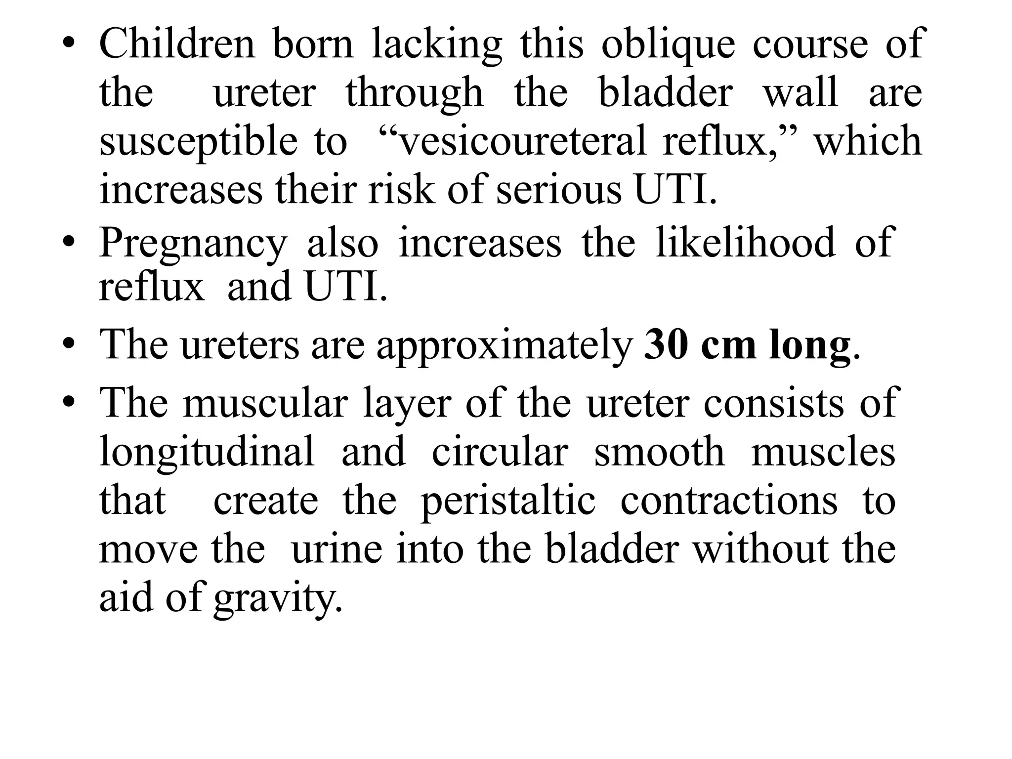 • Children born lacking this oblique course of
the ureter through the bladder wall are
susceptible to “vesicoureteral reflux,” which
increases their risk of serious UTI.
• Pregnancy also increases the likelihood of
reflux and UTI.
• The ureters are approximately 30 cm long.
• The muscular layer of the ureter consists of
longitudinal and circular smooth muscles
that create the peristaltic contractions to
move the urine into the bladder without the
aid of gravity.
 