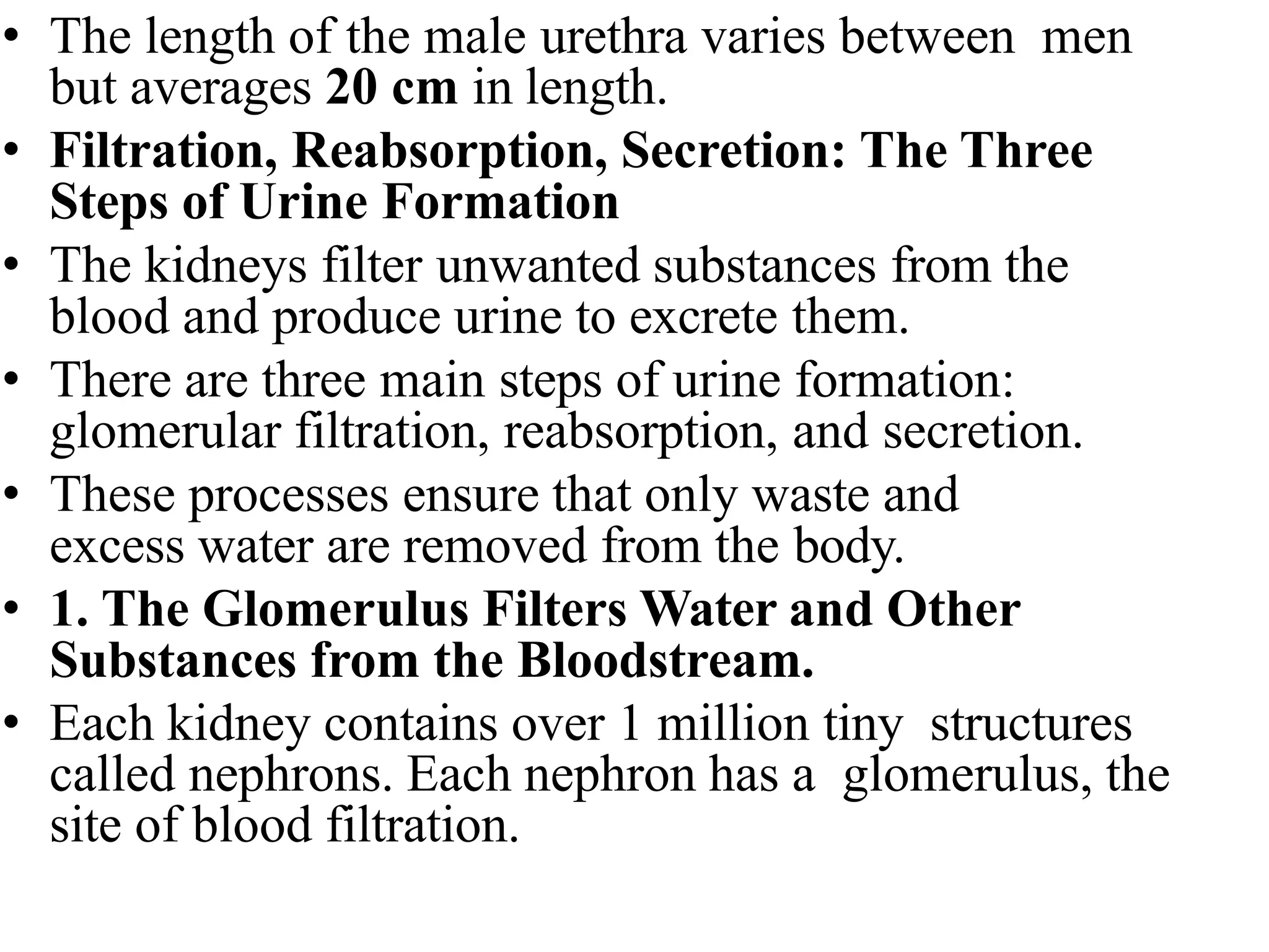 • The length of the male urethra varies between men
but averages 20 cm in length.
• Filtration, Reabsorption, Secretion: The Three
Steps of Urine Formation
• The kidneys filter unwanted substances from the
blood and produce urine to excrete them.
• There are three main steps of urine formation:
glomerular filtration, reabsorption, and secretion.
• These processes ensure that only waste and
excess water are removed from the body.
• 1. The Glomerulus Filters Water and Other
Substances from the Bloodstream.
• Each kidney contains over 1 million tiny structures
called nephrons. Each nephron has a glomerulus, the
site of blood filtration.
 