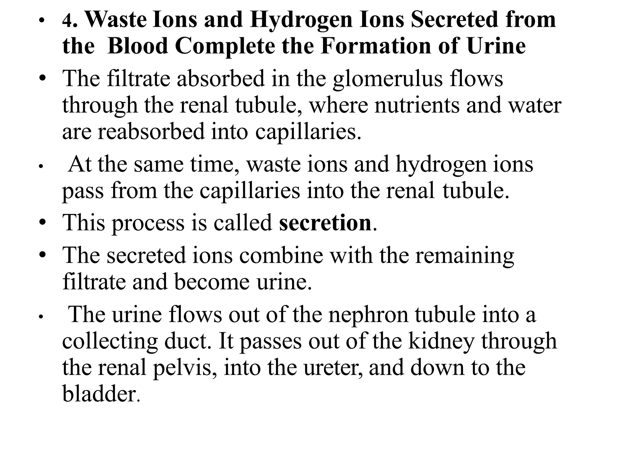 • 4. Waste Ions and Hydrogen Ions Secreted from
the Blood Complete the Formation of Urine
• The filtrate absorbed in the glomerulus flows
through the renal tubule, where nutrients and water
are reabsorbed into capillaries.
• At the same time, waste ions and hydrogen ions
pass from the capillaries into the renal tubule.
• This process is called secretion.
• The secreted ions combine with the remaining
filtrate and become urine.
• The urine flows out of the nephron tubule into a
collecting duct. It passes out of the kidney through
the renal pelvis, into the ureter, and down to the
bladder.
 