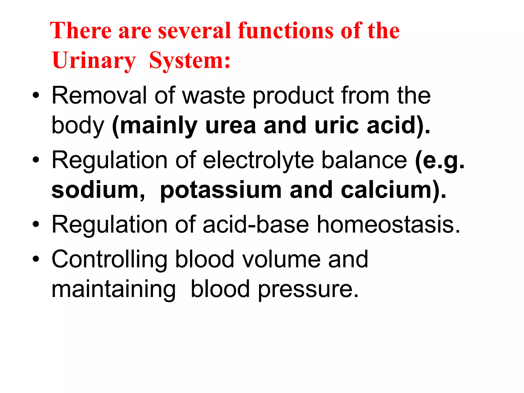 There are several functions of the
Urinary System:
• Removal of waste product from the
body (mainly urea and uric acid).
• Regulation of electrolyte balance (e.g.
sodium, potassium and calcium).
• Regulation of acid-base homeostasis.
• Controlling blood volume and
maintaining blood pressure.
 