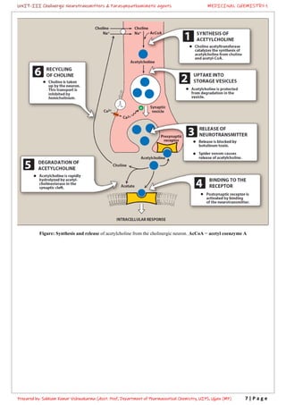 Cholinergic neurotransmitters & Parasympathomimetic agents | PDF