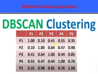 DBSCAN Clustering Algorithm
 