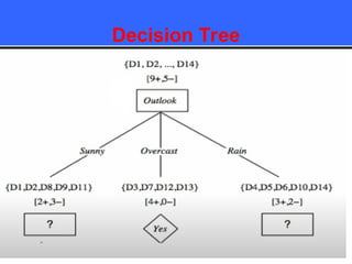 Decision Tree
 