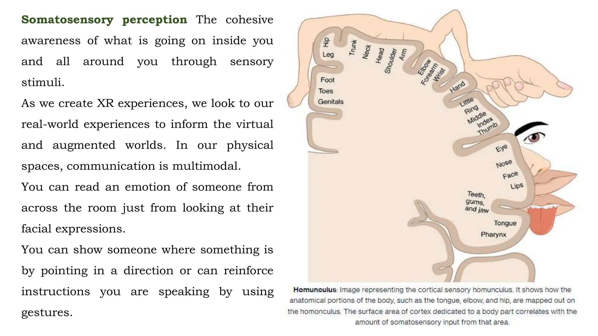 Somatosensory perception The cohesive
awareness of what is going on inside you
and all around you through sensory
stimuli.
As we create XR experiences, we look to our
real-world experiences to inform the virtual
and augmented worlds. In our physical
spaces, communication is multimodal.
You can read an emotion of someone from
across the room just from looking at their
facial expressions.
You can show someone where something is
by pointing in a direction or can reinforce
instructions you are speaking by using
gestures.
 
