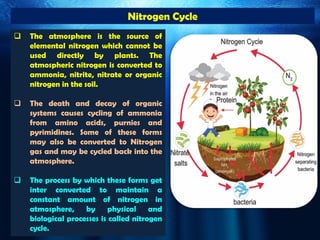 Unit III- Nitrogen metabolism and Growth | PDF