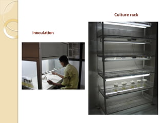 Culture Rack Structure UNIT -III Plant Tissue Culture.pdf