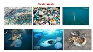Plastic Waste
 