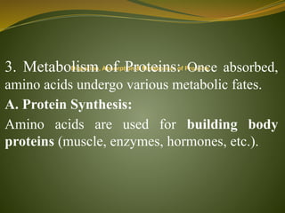 Unit- III Protein.pptx Explain the metabolism of amino acids and ...