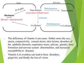  The deficiency of vitamin A can cause further more dry eye,
ataxia, conjunctivitis, corneal ulcers, skin lesions, disorders of
the epithelia (bronchi, respiratory tracts, salivary glands), bone
formation and nervous system abnormalities, and increased
susceptibility to diseases.
 Vitamin A in overdose can lead to bone disorders,
gingivitis, and finally the loss of vision.
8
Rhodopsin
Trans-Retinal Trans-Retinol
Dehydrogenase
(Activation of Rod/Cones)
[Retinal + opsin(protein)]
inactive
Cis-Retinal Cis-Retinol
Dehydrogenase
isomerase
Eyes In Liver
 