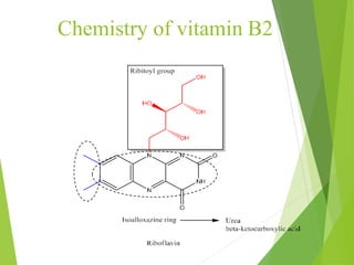 Chemistry of vitamin B2
17
 