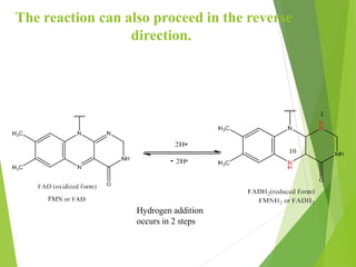 The reaction can also proceed in the reverse
direction.
Hydrogen addition
occurs in 2 steps
-
20
 