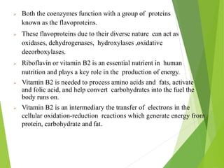  Both the coenzymes function with a group of proteins
known as the flavoproteins.
 These flavoproteins due to their diverse nature can act as
oxidases, dehydrogenases, hydroxylases ,oxidative
decorboxylases.
 Riboflavin or vitamin B2 is an essential nutrient in human
nutrition and plays a key role in the production of energy.
 Vitamin B2 is needed to process amino acids and fats, activate
and folic acid, and help convert carbohydrates into the fuel the
body runs on.
 Vitamin B2 is an intermediary the transfer of electrons in the
cellular oxidation-reduction reactions which generate energy from
protein, carbohydrate and fat.
23
 