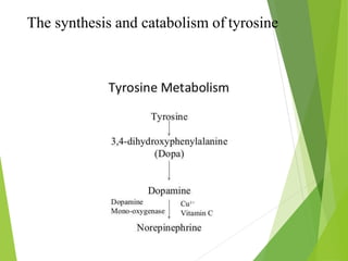 The synthesis and catabolism of tyrosine
39
 