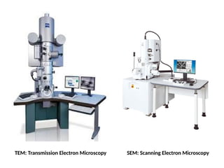 TEM: Transmission Electron Microscopy SEM: Scanning Electron Microscopy
 
