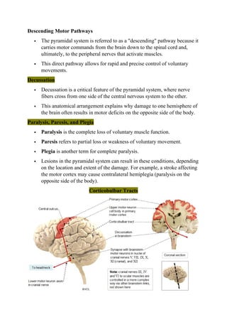 UNIT-II Neurology BASLP lecture notes.. | DOCX