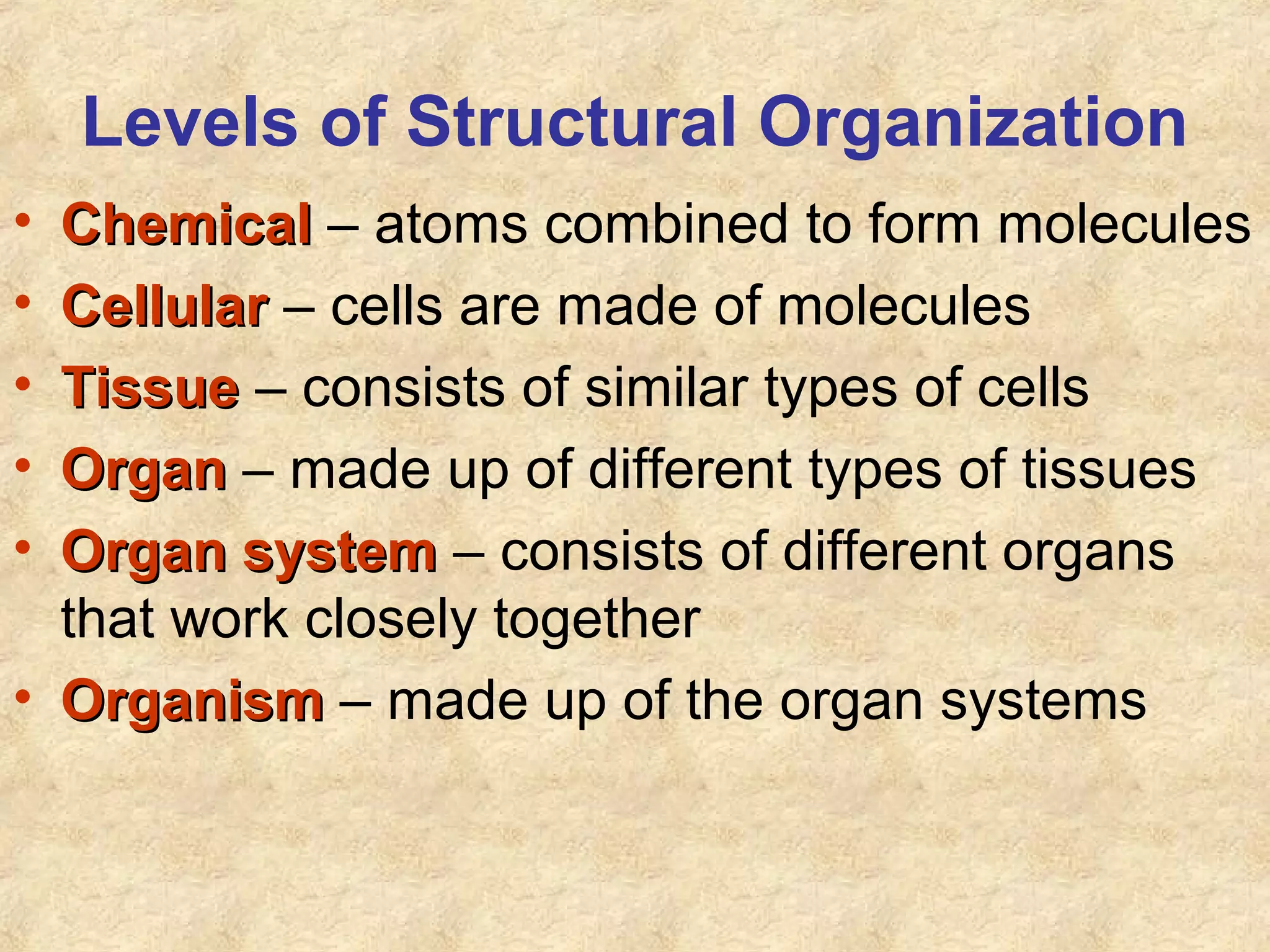 Levels of Structural Organization
• ChemicalChemical – atoms combined to form molecules
• CellularCellular – cells are made of molecules
• TissueTissue – consists of similar types of cells
• OrganOrgan – made up of different types of tissues
• Organ systemOrgan system – consists of different organs
that work closely together
• OrganismOrganism – made up of the organ systems
 