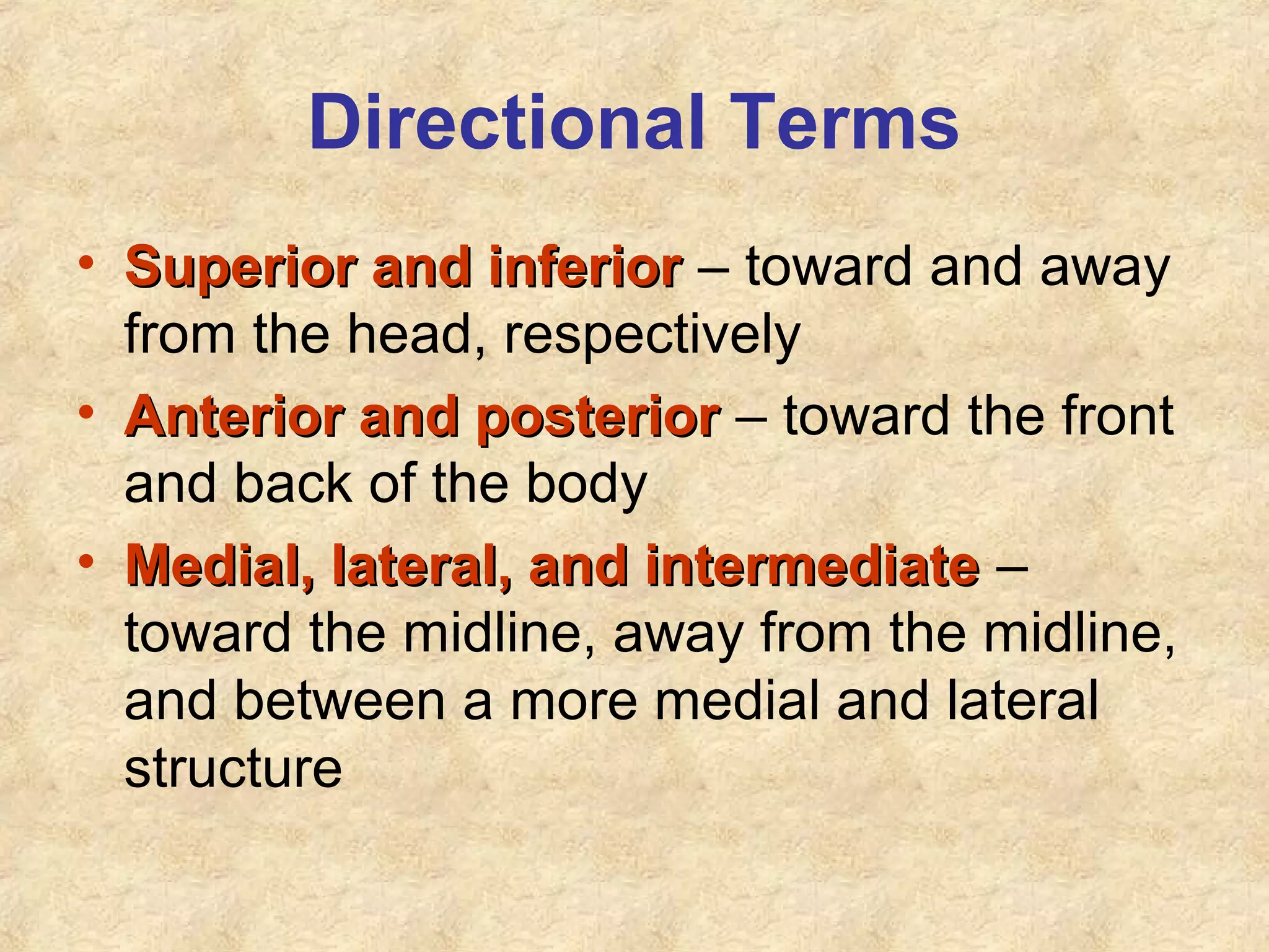 Directional Terms
• Superior and inferiorSuperior and inferior – toward and away
from the head, respectively
• Anterior and posteriorAnterior and posterior – toward the front
and back of the body
• Medial, lateral, and intermediateMedial, lateral, and intermediate –
toward the midline, away from the midline,
and between a more medial and lateral
structure
 