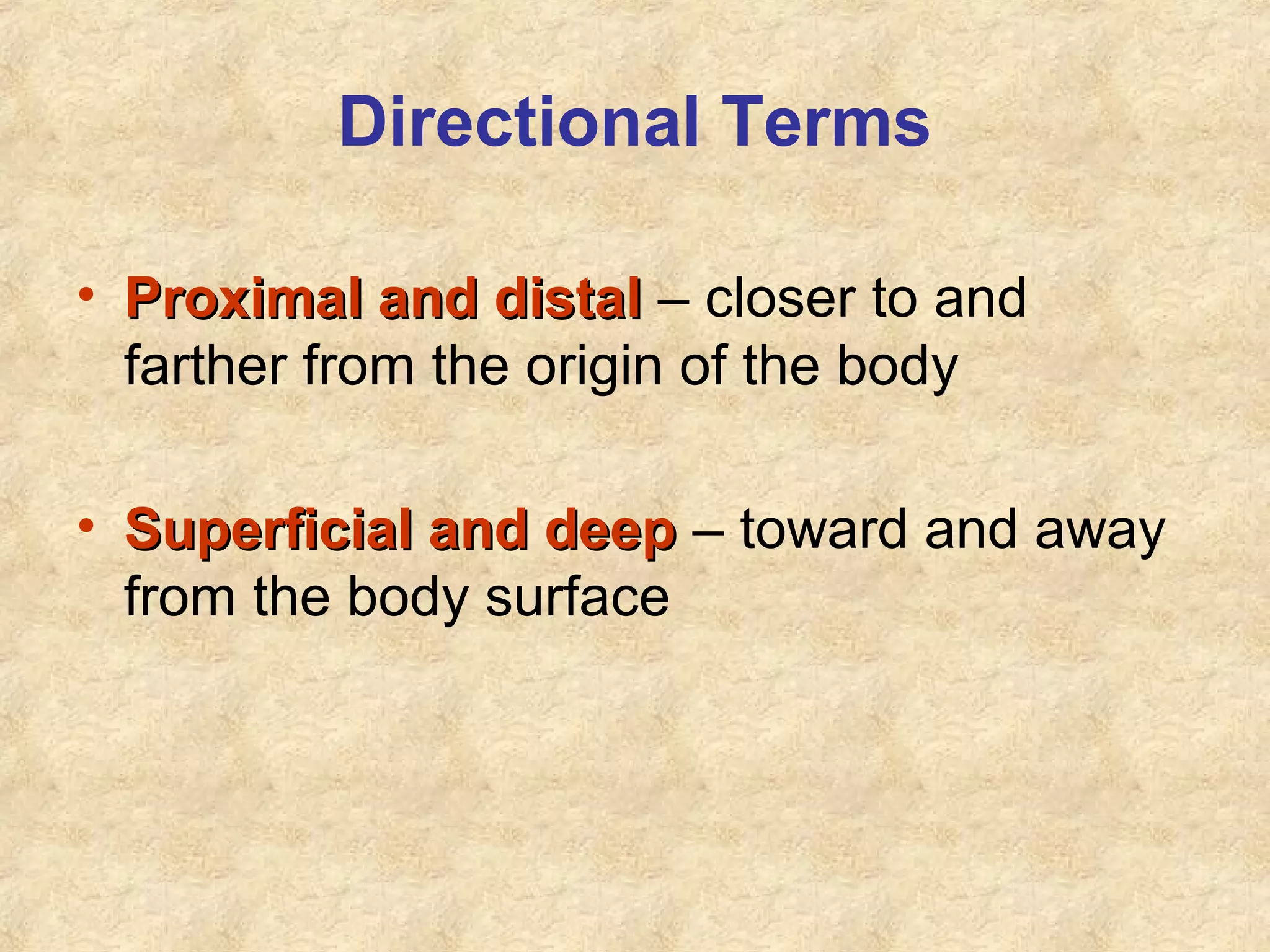Directional Terms
• Proximal and distalProximal and distal – closer to and
farther from the origin of the body
• Superficial and deepSuperficial and deep – toward and away
from the body surface
 