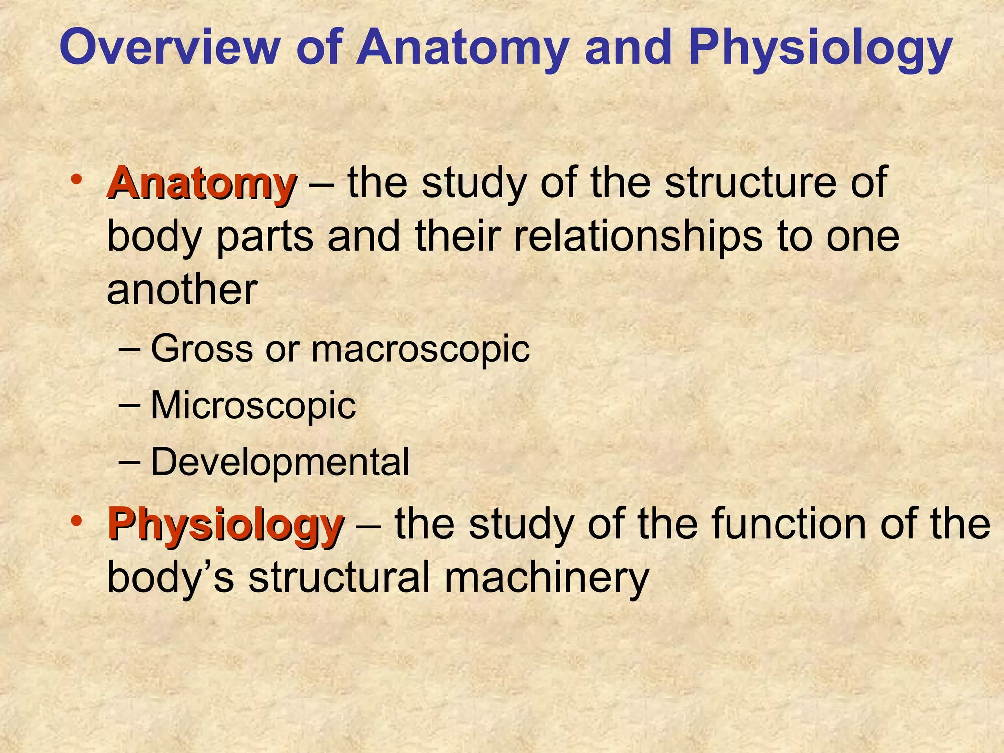 Overview of Anatomy and Physiology
• AnatomyAnatomy – the study of the structure of
body parts and their relationships to one
another
– Gross or macroscopic
– Microscopic
– Developmental
• PhysiologyPhysiology – the study of the function of the
body’s structural machinery
 