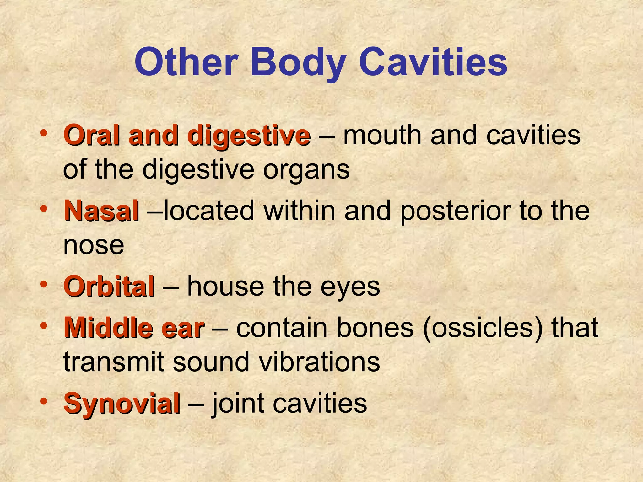 Other Body Cavities
• Oral and digestiveOral and digestive – mouth and cavities
of the digestive organs
• NasalNasal –located within and posterior to the
nose
• OrbitalOrbital – house the eyes
• Middle earMiddle ear – contain bones (ossicles) that
transmit sound vibrations
• SynovialSynovial – joint cavities
 