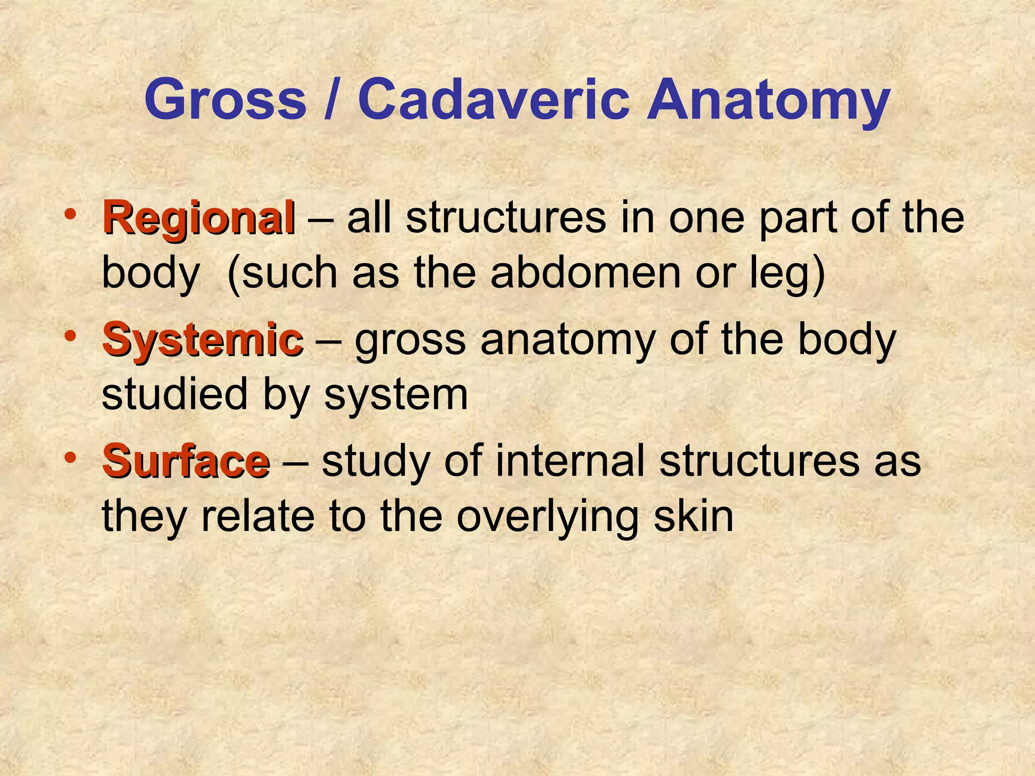 Gross / Cadaveric Anatomy
• RegionalRegional – all structures in one part of the
body (such as the abdomen or leg)
• SystemicSystemic – gross anatomy of the body
studied by system
• SurfaceSurface – study of internal structures as
they relate to the overlying skin
 