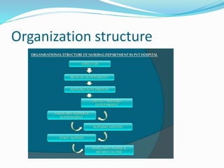 Organization structure
 