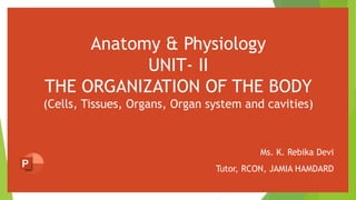 Anatomy & Physiology
UNIT- II
THE ORGANIZATION OF THE BODY
(Cells, Tissues, Organs, Organ system and cavities)
Ms. K. Rebika Devi
Tutor, RCON, JAMIA HAMDARD
 