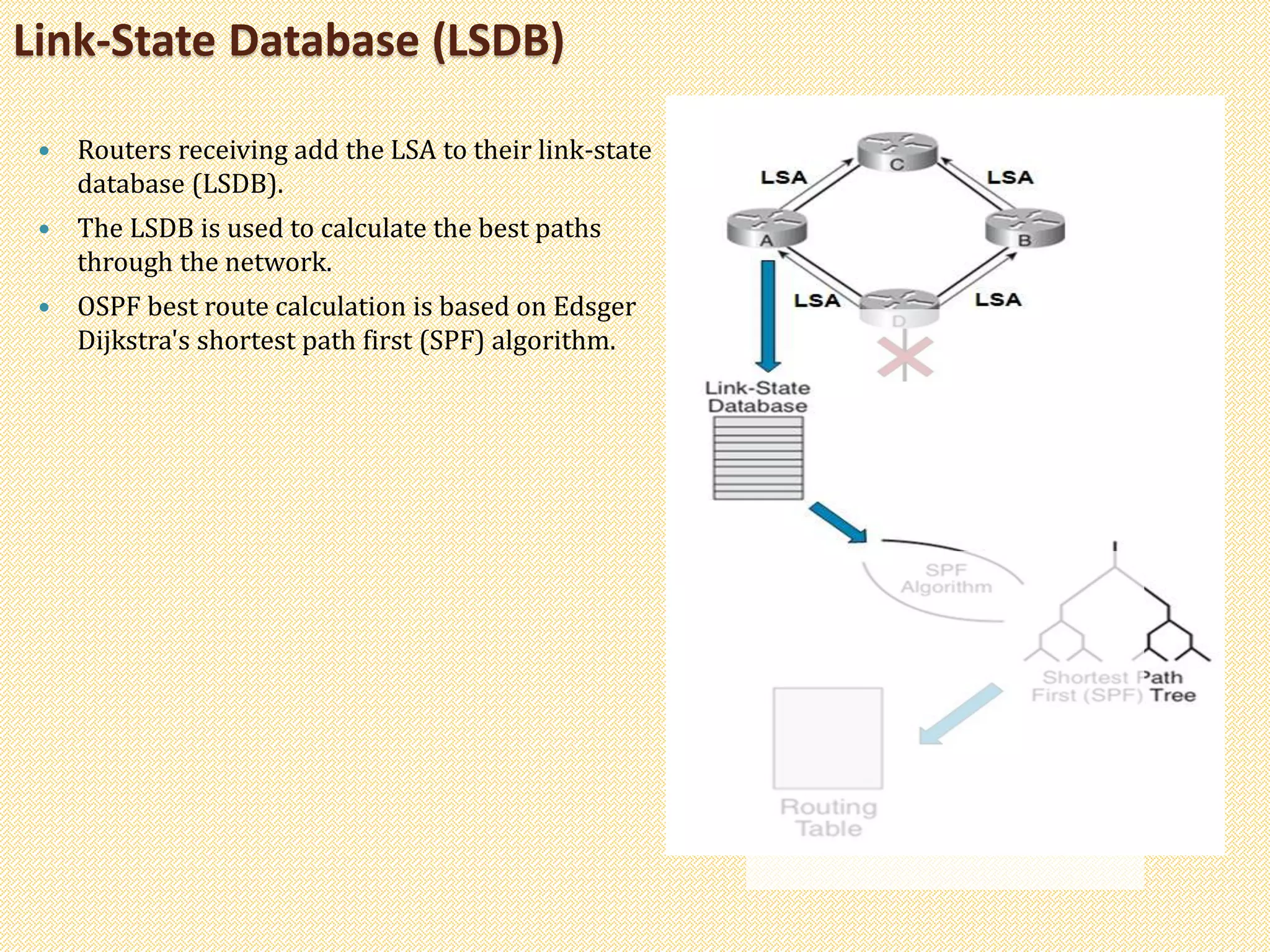 Link-State Database (LSDB)
 Routers receiving add the LSA to their link-state
database (LSDB).
 The LSDB is used to calculate the best paths
through the network.
 OSPF best route calculation is based on Edsger
Dijkstra's shortest path first (SPF) algorithm.
 