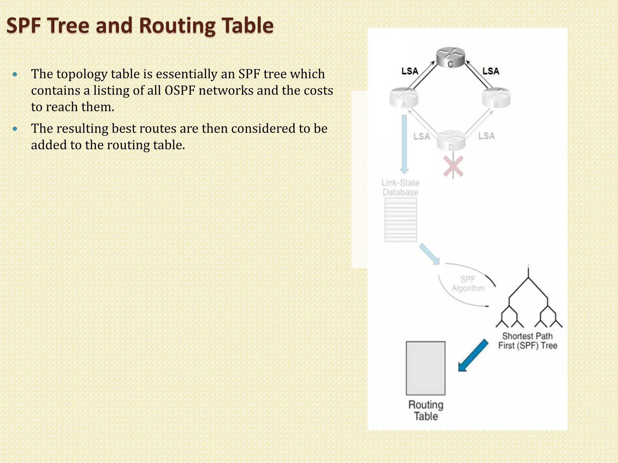 SPF Tree and Routing Table
 The topology table is essentially an SPF tree which
contains a listing of all OSPF networks and the costs
to reach them.
 The resulting best routes are then considered to be
added to the routing table.
 