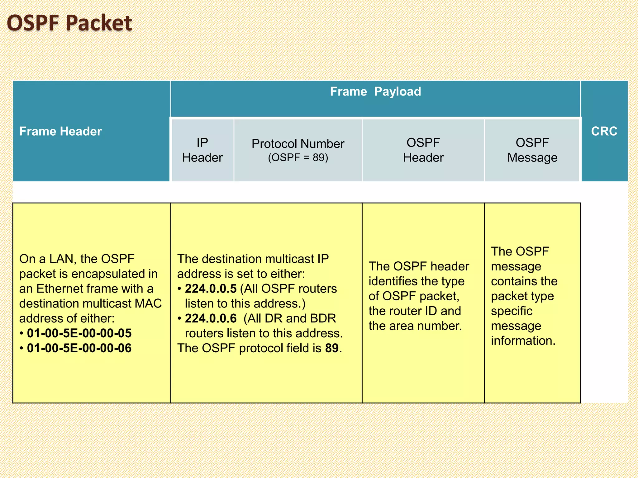 OSPF Packet
Frame Header
Frame Payload
CRC
IP
Header
Protocol Number
(OSPF = 89)
OSPF
Header
OSPF
Message
On a LAN, the OSPF
packet is encapsulated in
an Ethernet frame with a
destination multicast MAC
address of either:
• 01-00-5E-00-00-05
• 01-00-5E-00-00-06
The destination multicast IP
address is set to either:
• 224.0.0.5 (All OSPF routers
listen to this address.)
• 224.0.0.6 (All DR and BDR
routers listen to this address.
The OSPF protocol field is 89.
The OSPF header
identifies the type
of OSPF packet,
the router ID and
the area number.
The OSPF
message
contains the
packet type
specific
message
information.
 