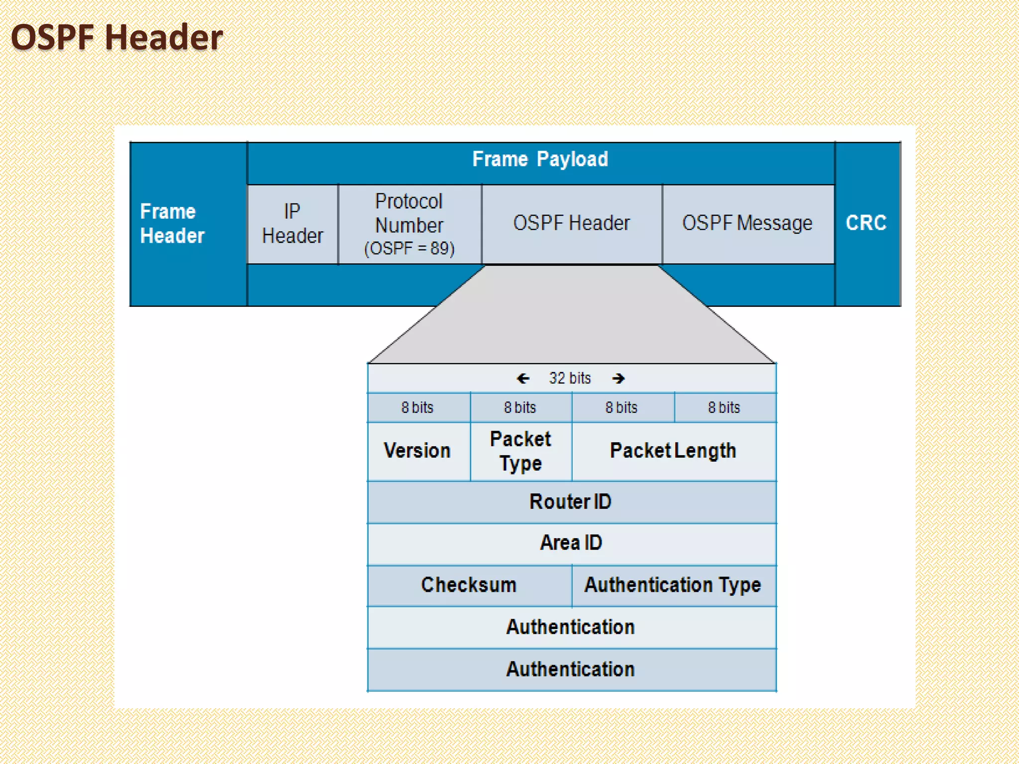 OSPF Header
 
