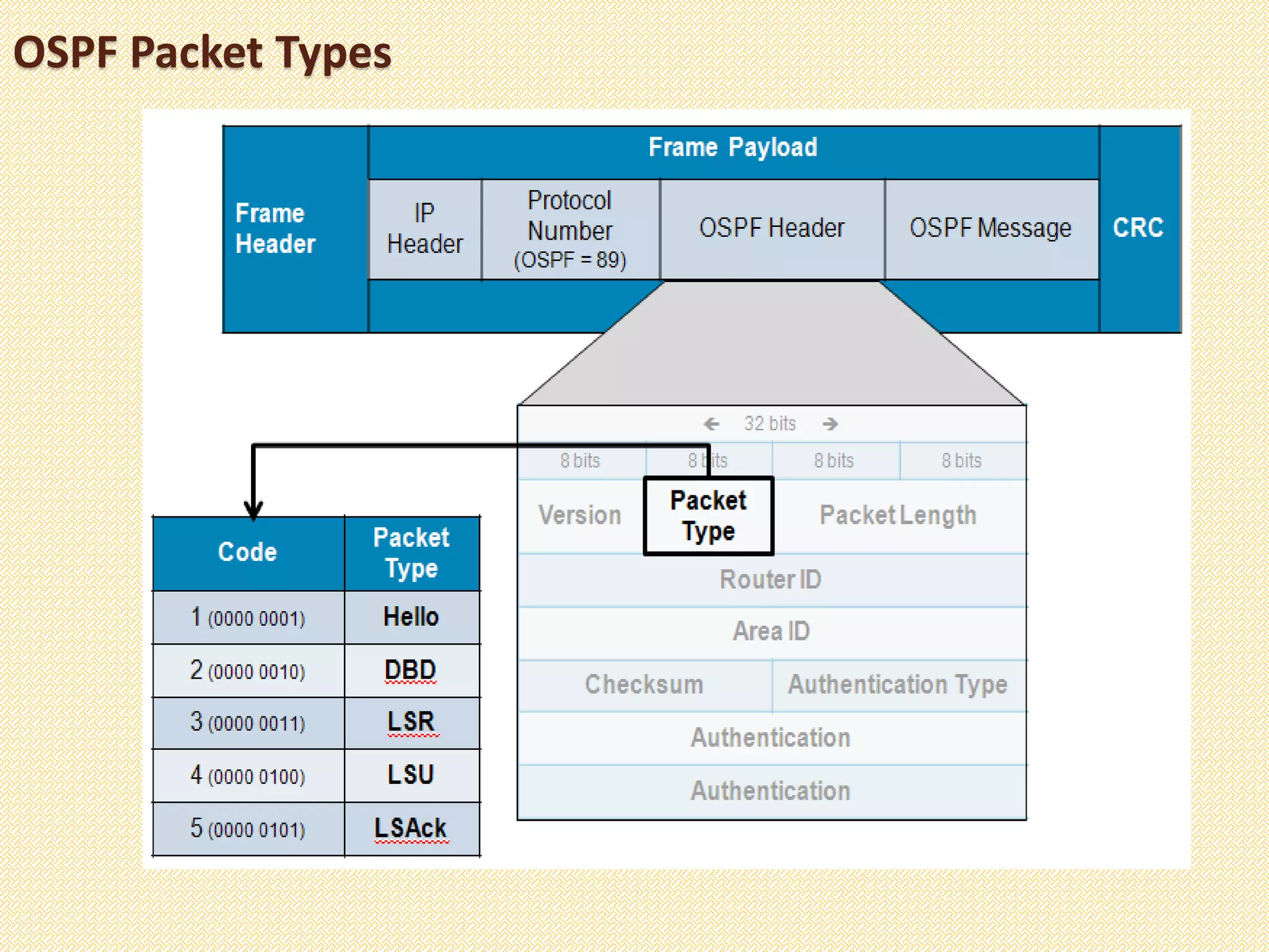 OSPF Packet Types
 