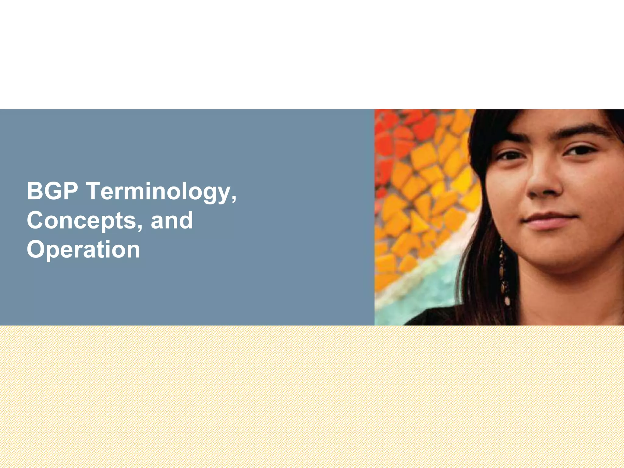 BGP Terminology,
Concepts, and
Operation
 