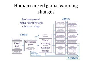 Human caused global warming
changes
 