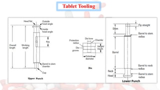 Tablet Tooling
Lower Punch
 