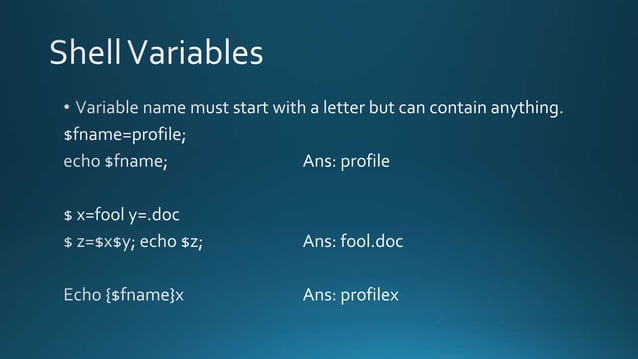 Shell Programming Concept | PPT