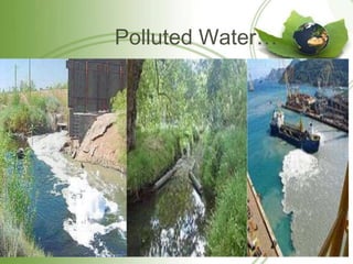 Polluted Water…
 