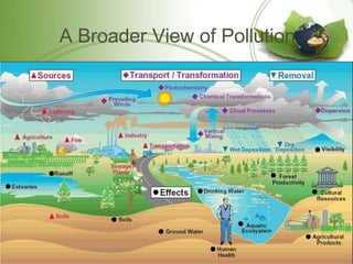 A Broader View of Pollution
 