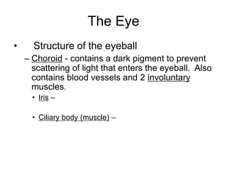 The Eye
• Structure of the eyeball
– Choroid - contains a dark pigment to prevent
scattering of light that enters the eyeball. Also
contains blood vessels and 2 involuntary
muscles.
• Iris –
• Ciliary body (muscle) –
 