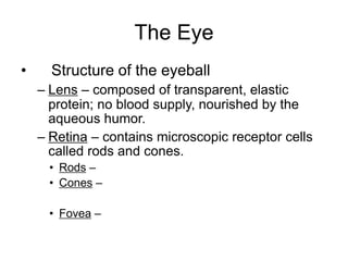 The Eye
• Structure of the eyeball
– Lens – composed of transparent, elastic
protein; no blood supply, nourished by the
aqueous humor.
– Retina – contains microscopic receptor cells
called rods and cones.
• Rods –
• Cones –
• Fovea –
 