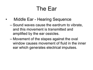 The Ear
• Middle Ear - Hearing Sequence
– Sound waves cause the eardrum to vibrate,
and this movement is transmitted and
amplified by the ear ossicles.
– Movement of the stapes against the oval
window causes movement of fluid in the inner
ear which generates electrical impulses.
 