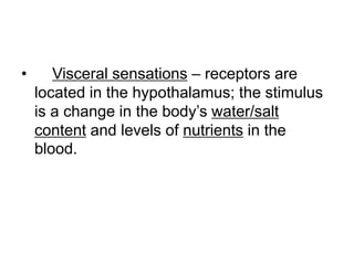 • Visceral sensations – receptors are
located in the hypothalamus; the stimulus
is a change in the body’s water/salt
content and levels of nutrients in the
blood.
 