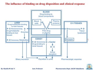 By: Khalifa M Asif Y Asst. Professor Pharmaceutics Dept. AACOP Akkalkuwa
The influence of binding on drug disposition and clinical response
 