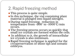 2. Rapid freezing method
⚫ This process is quite simple.
⚫ In this technique, the vial containing plant
material is plunged into liquid nitrogen.
⚫ During rapid freezing, reduction in
temperature from -300° to -1000°C/min
occurs.
⚫ The freezing process occurs so quickly that
small ice crystals are formed within the cells.
⚫ In addition to it, the growth of intracellular
ice crystals is also minimum.
⚫ Rapid freezing technique is applied for the
cryopreservation of shoot tips and somatic
embryos.
 