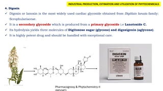 Pharmacognosy & Phytochemistry-II
4. Digoxin
 Digoxin or lanoxin is the most widely used cardiac glycoside obtained from Digitlais lanata family:
Scrophulariaceae.
 It is a secondary glycoside which is produced from a primary glycoside i.e Lanotoside C.
 Its hydrolysis yields three molecules of Digitoxose sugar (glycone) and digoxigenin (aglycone).
 It is highly potent drug and should be handled with exceptional care.
INDUSTRIAL PRODUCTION, ESTIMATION AND UTILIZATION OF PHYTOCHEMICALS
 