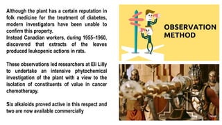 28
Although the plant has a certain reputation in
folk medicine for the treatment of diabetes,
modern investigators have been unable to
confirm this property.
Instead Canadian workers, during 1955–1960,
discovered that extracts of the leaves
produced leukopenic actions in rats.
These observations led researchers at Eli Lilly
to undertake an intensive phytochemical
investigation of the plant with a view to the
isolation of constituents of value in cancer
chemotherapy.
Six alkaloids proved active in this respect and
two are now available commercially
 