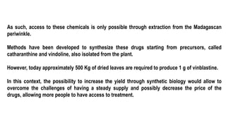 As such, access to these chemicals is only possible through extraction from the Madagascan
periwinkle.
Methods have been developed to synthesize these drugs starting from precursors, called
catharanthine and vindoline, also isolated from the plant.
However, today approximately 500 Kg of dried leaves are required to produce 1 g of vinblastine.
In this context, the possibility to increase the yield through synthetic biology would allow to
overcome the challenges of having a steady supply and possibly decrease the price of the
drugs, allowing more people to have access to treatment.
 