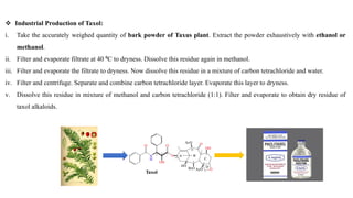  Industrial Production of Taxol:
i. Take the accurately weighed quantity of bark powder of Taxus plant. Extract the powder exhaustively with ethanol or
methanol.
ii. Filter and evaporate filtrate at 40 ⁰C to dryness. Dissolve this residue again in methanol.
iii. Filter and evaporate the filtrate to dryness. Now dissolve this residue in a mixture of carbon tetrachloride and water.
iv. Filter and centrifuge. Separate and combine carbon tetrachloride layer. Evaporate this layer to dryness.
v. Dissolve this residue in mixture of methanol and carbon tetrachloride (1:1). Filter and evaporate to obtain dry residue of
taxol alkaloids.
 